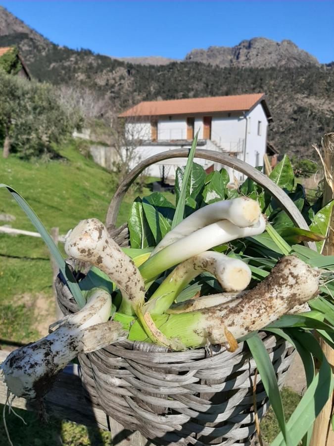 Agriturismo Grilla Villa Mele Exteriör bild