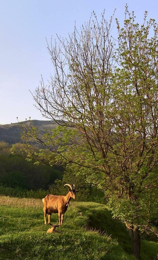 Agriturismo Grilla Villa Mele Exteriör bild